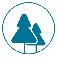 Wood based materials