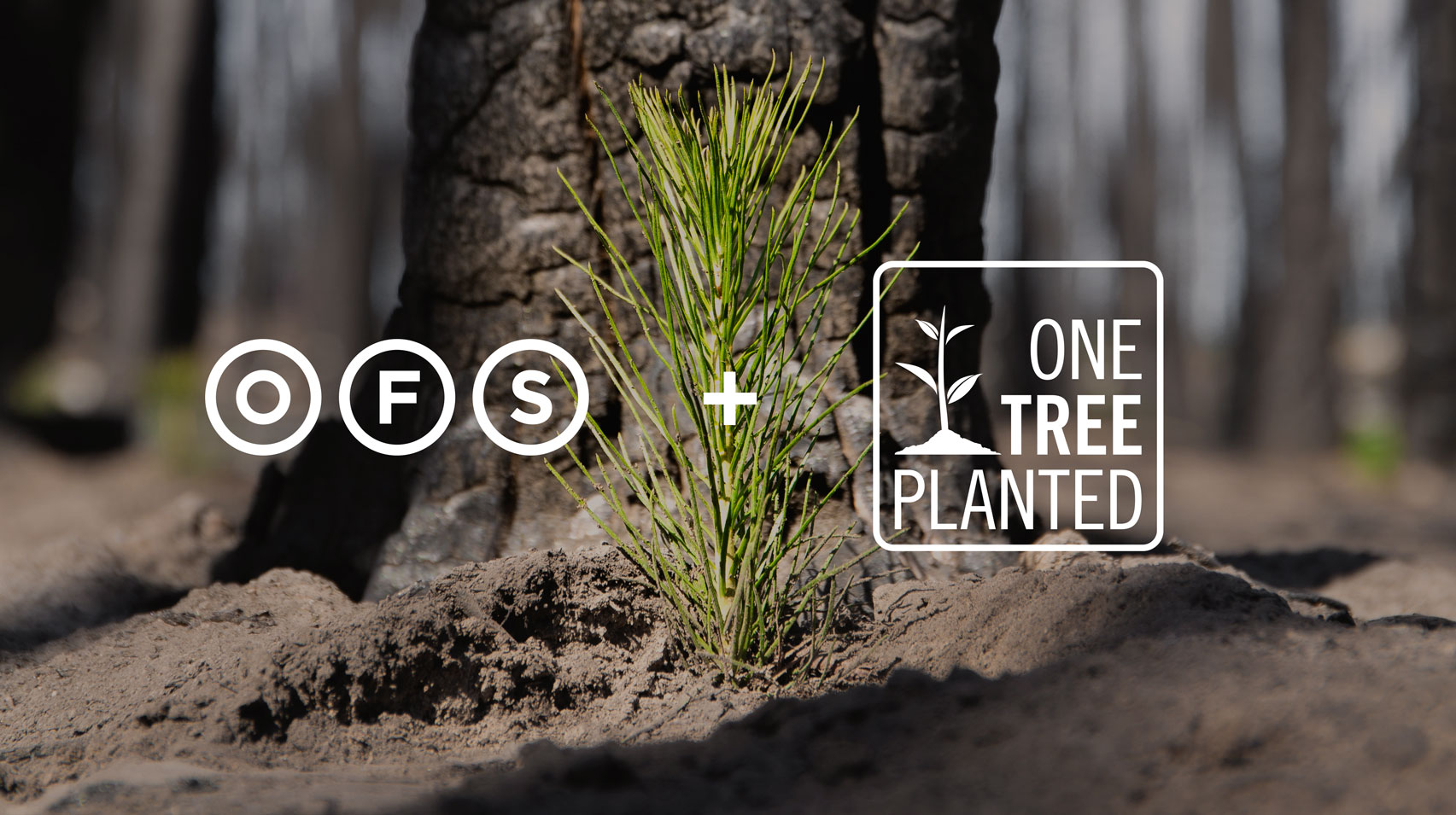 OFS and One Tree Planted