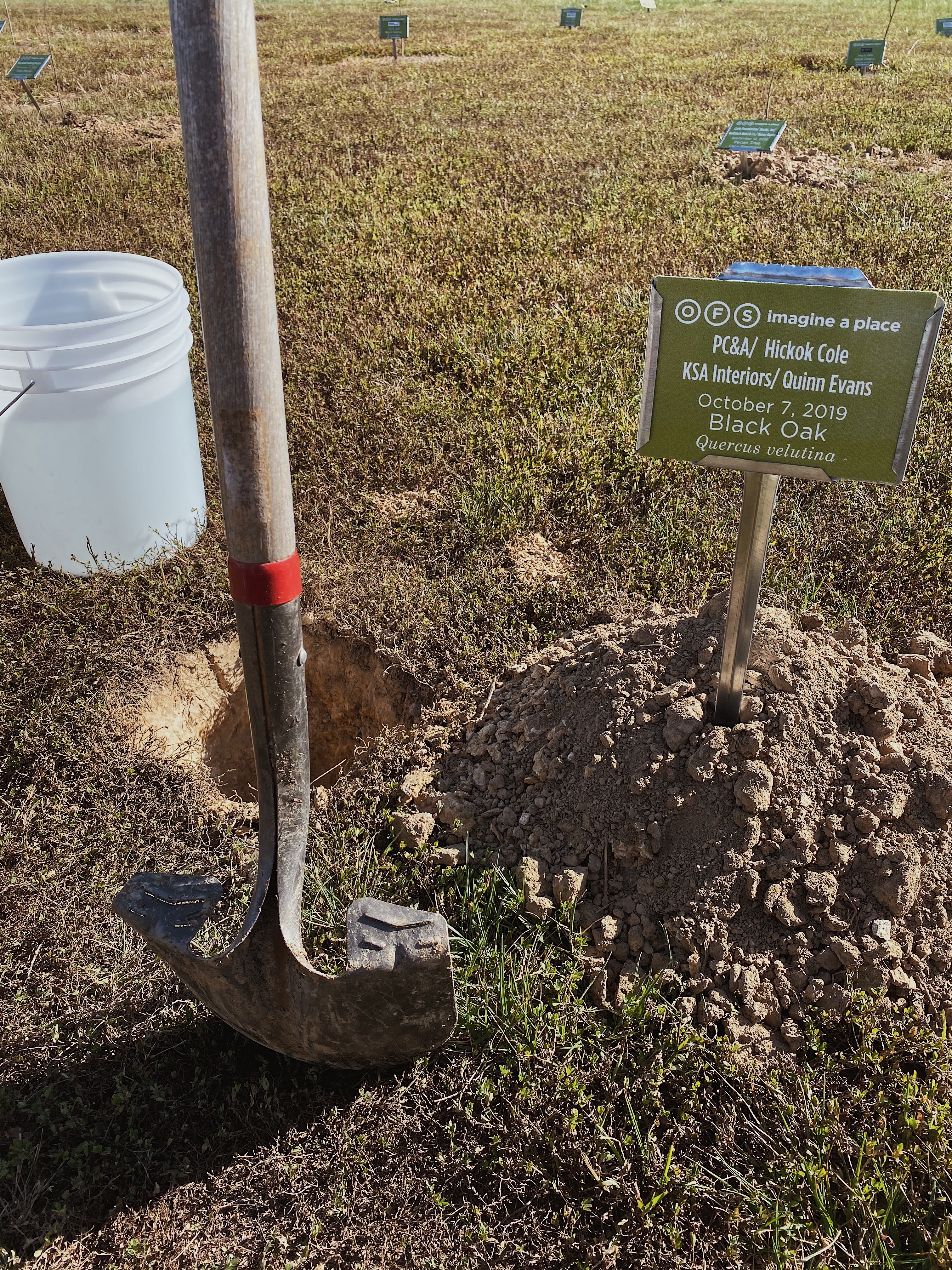 Tree Planting at Cool Springs