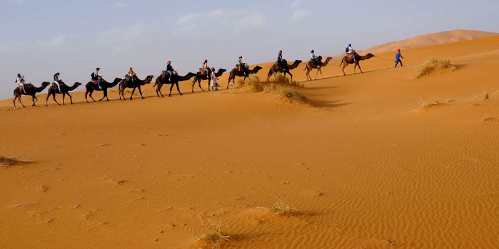 Lead like a humble servant