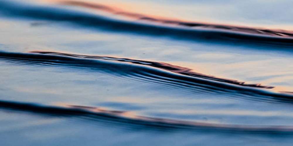 Can workplace design cure obesity? Can workplace design cure obesity?