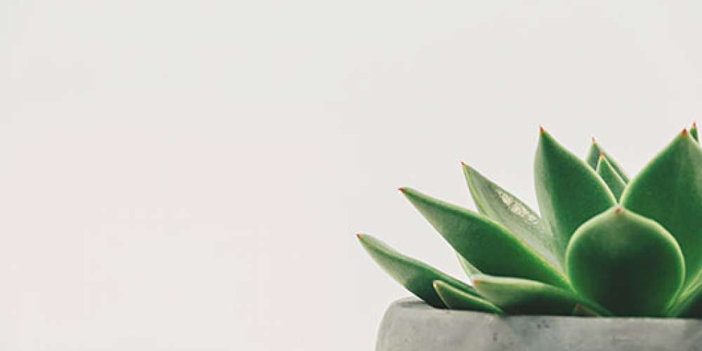 Hospital design trends Hospital design trends