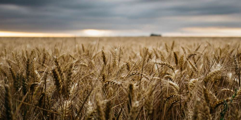 Reinventing rural hospitals Reinventing rural hospitals