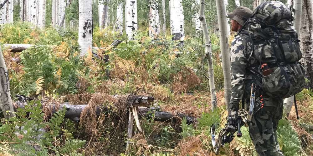 What pushing myself physically did for me mentally.