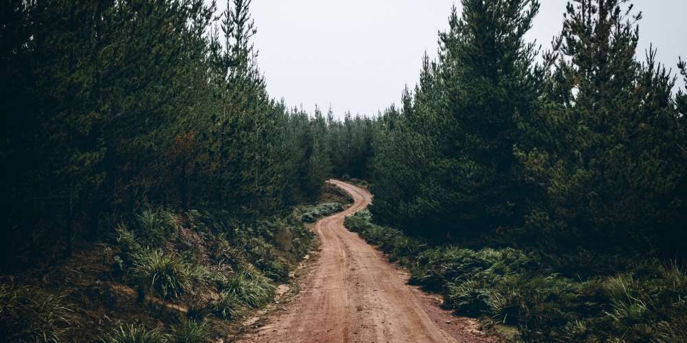 Take a walk outdoors, doctors orders