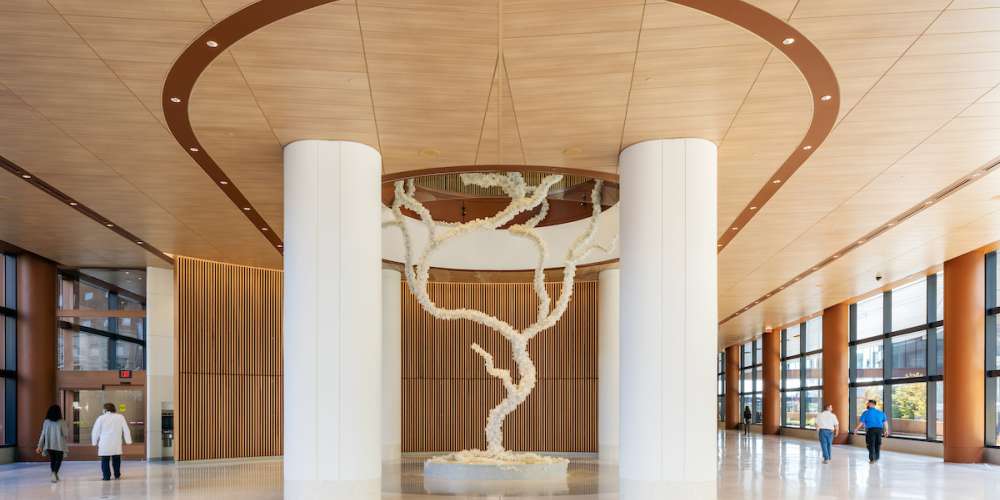 Finding our ‘why’ in the daily grind