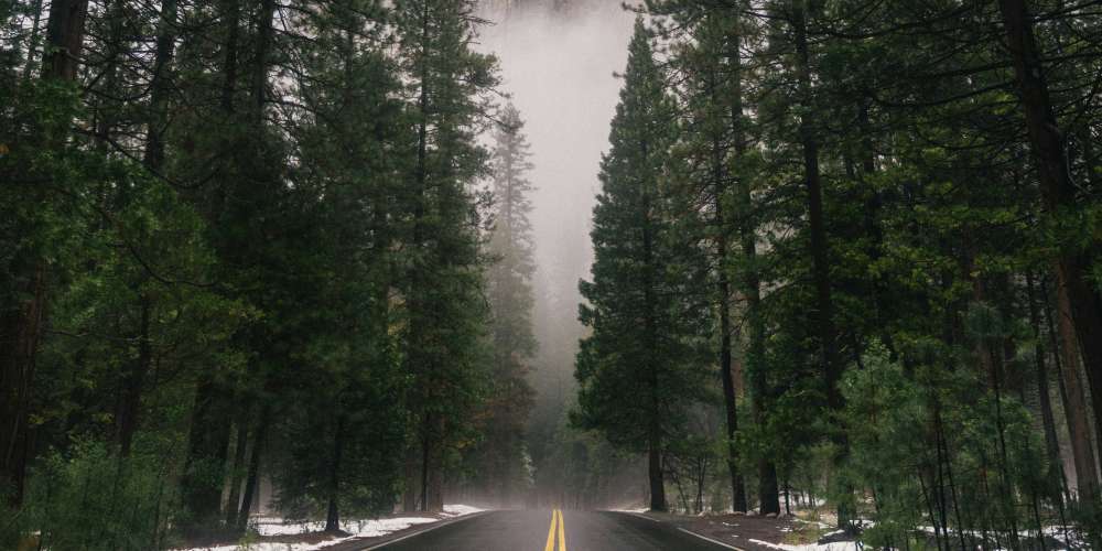 Navigating 2024 with a word of purpose