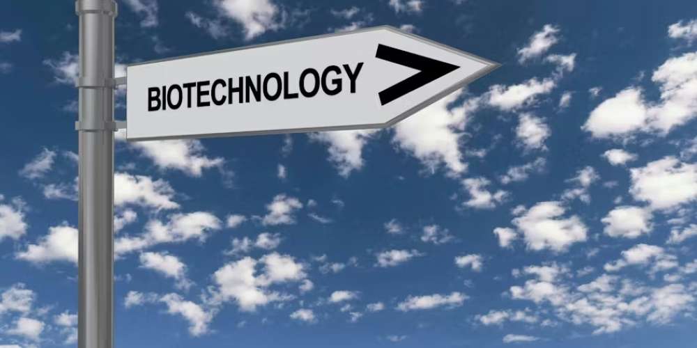 Op-Ed: Evolving Beyond Plastics