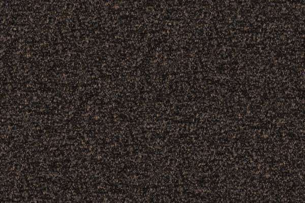 Speckle #17 Truffle