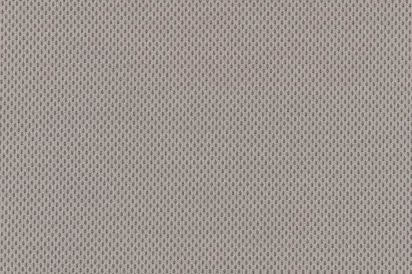 Plecto 0224