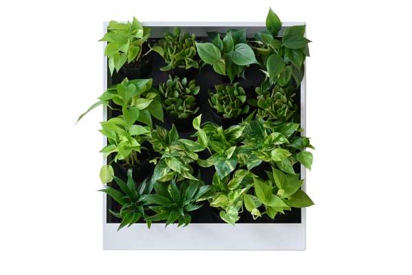 Living Wall Planter Living Wall Planter