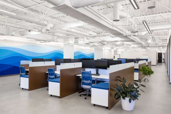 suntex marians case study ofs