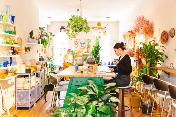 An Interview with PLNTR