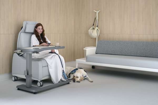 neuroinclusive design: foundations for the built environment