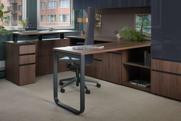 Adler, Ally, and Emmitt in OFS Chicago showroom