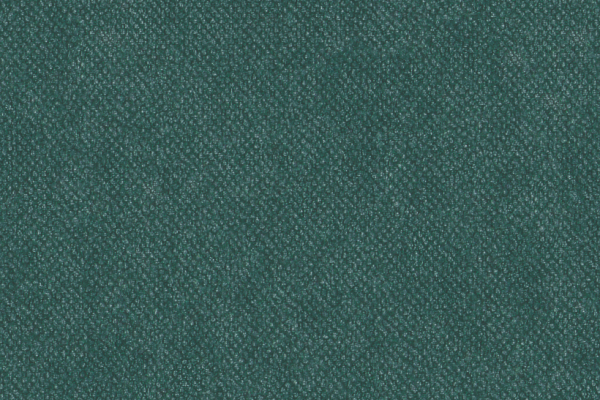 Simile Spruce