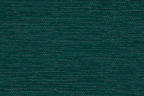 Stitch Juniper