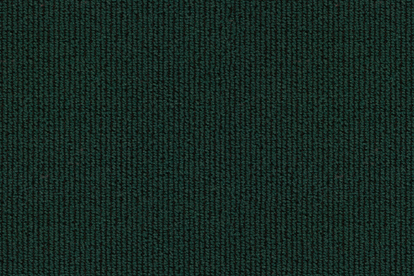 Mesh