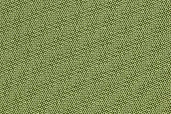Quattro Spring Green