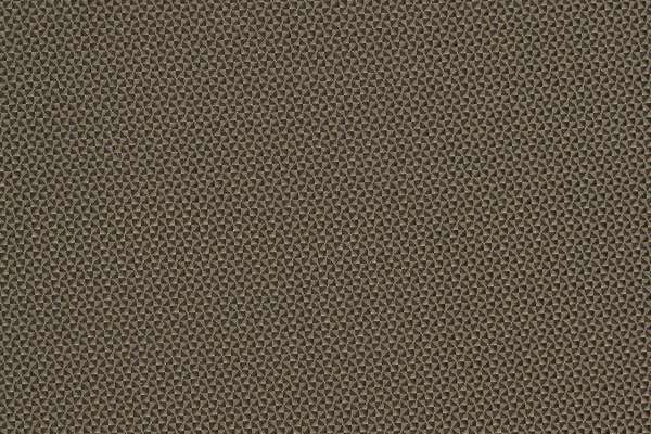 Quattro Khaki
