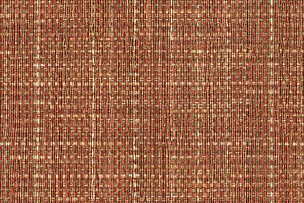 Wayside Coral Orange