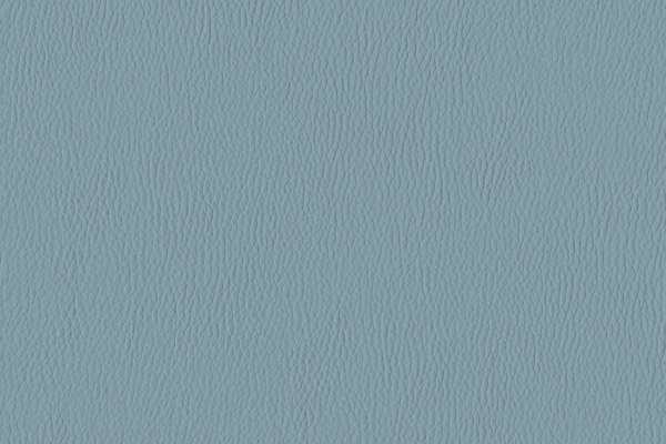 Silicone Range Dolphin