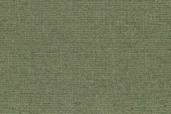 Clad Celliant Sage