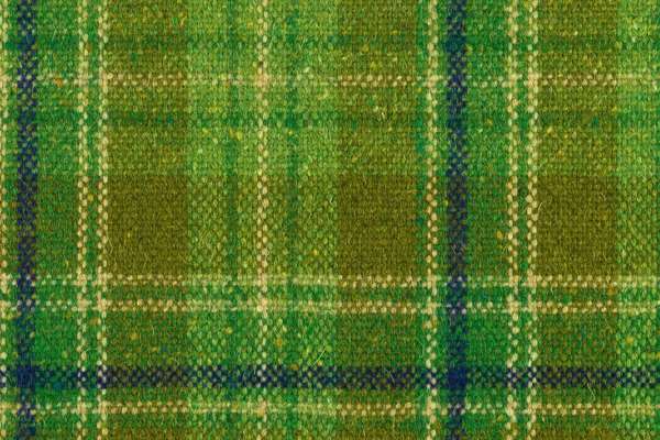 Pressed Plaid Avocado