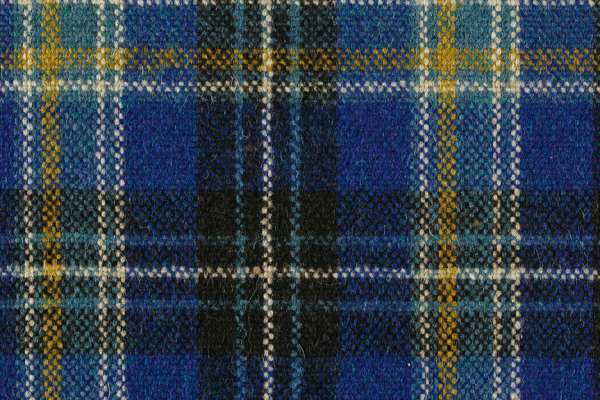 Pressed Plaid Cobalt