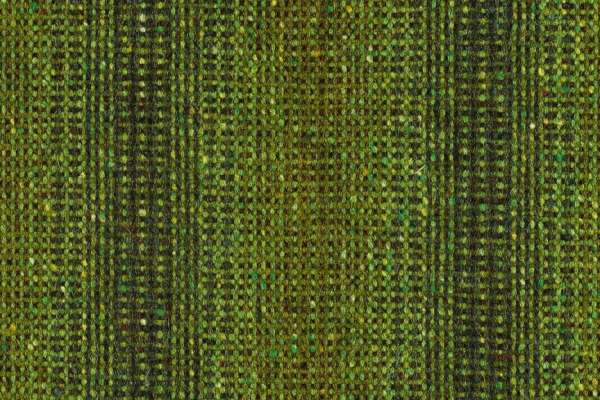 Wool Striae Fern