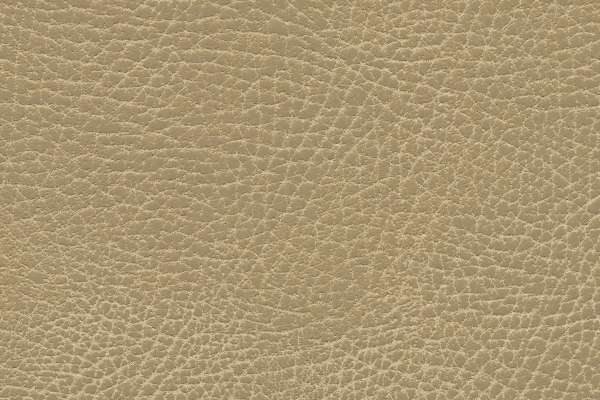 Brisa Distress Buckskin Brisa Distress Buckskin
