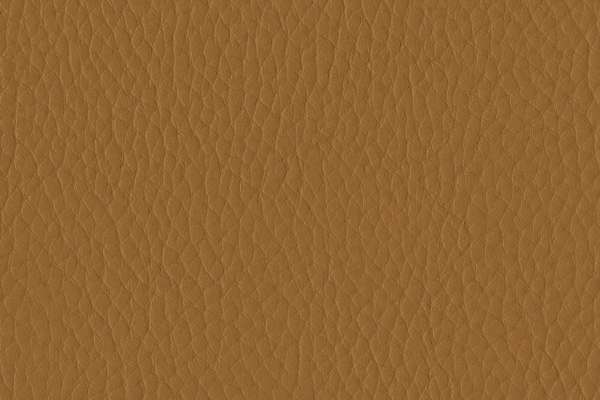 Tottori Burnt Ochre