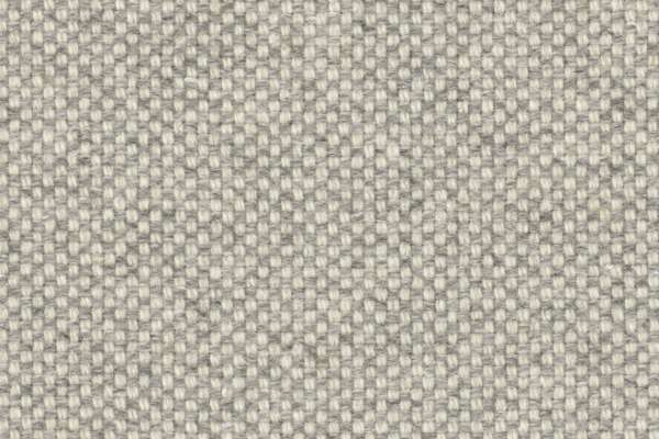 Checker Brume