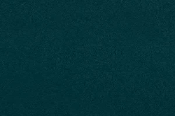 Stark Leather Pacific