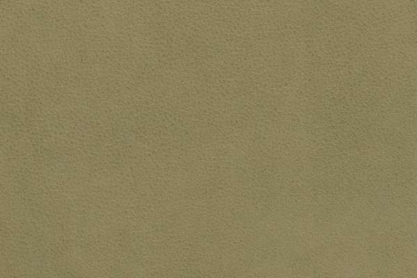Loam Leather