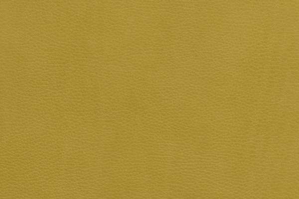 Steep Leather Cherish