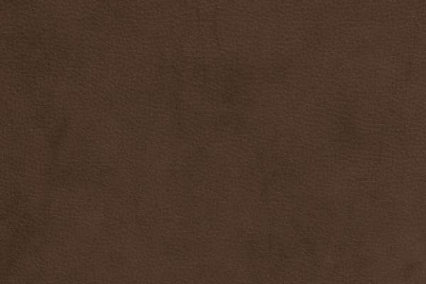Steep Leather Sparrow