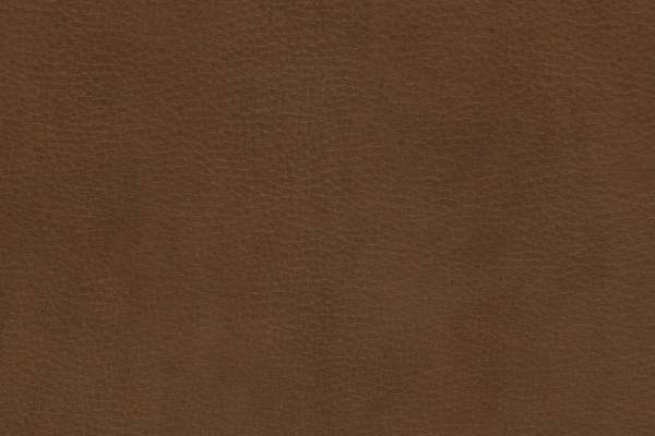 Steep Leather Gambol