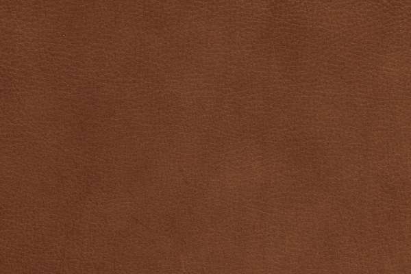 Steep Leather Era