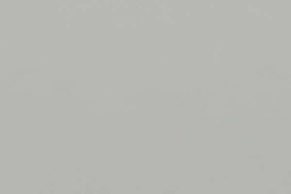 Pace Leather Shy