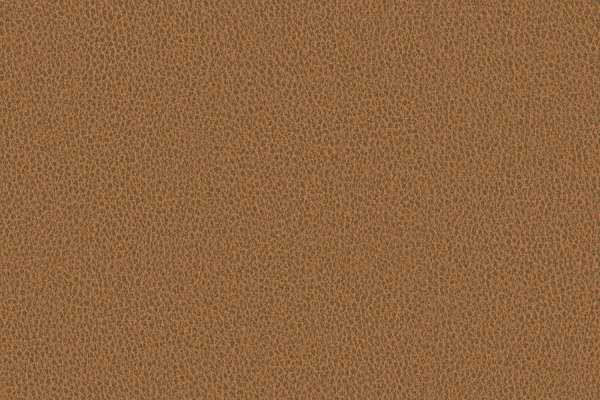 Ethos Umber