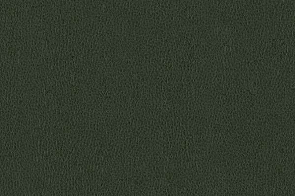 Ethos Viridian
