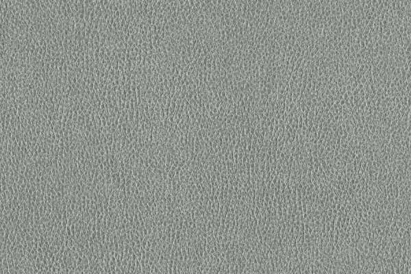 Ethos Mica
