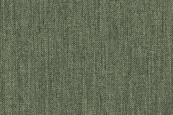 Dovetail Olive