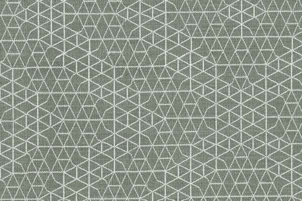 Facet Succulent