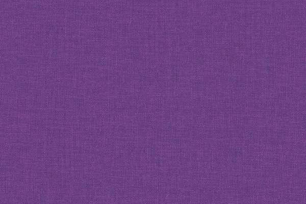 Insight #13 Amethyst