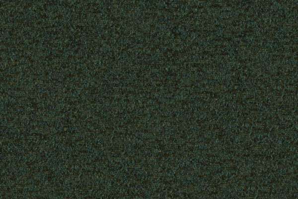 Speckle