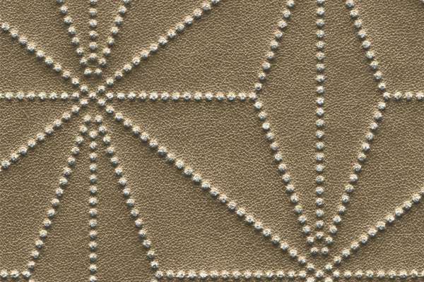 Andromeda Motif