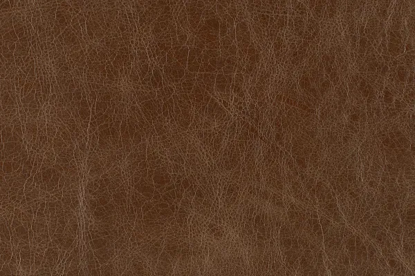 Aviator Leather Wingspan