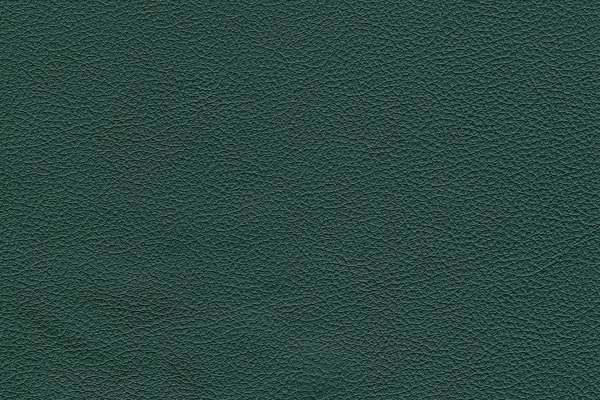 Basic Evergreen